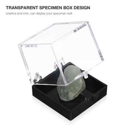12pcs Mineral Standard Display Box Display Shelves Packing Collectible Pad Organizers Single Cupcake Boxes Asian Mineral Specimen Storage Bulb Containers with Lids Stash Plastic acrylic
