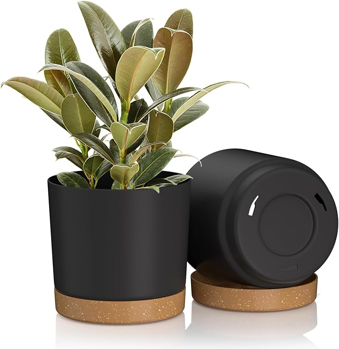6.5inch Plant Pots, Plastic Planter with Drainage Hole and Saucer, A Set of 2 Flower Pots for Indoor, Outdoor, House Plants, Succulents, Flowers
