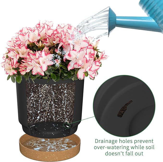 6.5inch Plant Pots, Plastic Planter with Drainage Hole and Saucer, A Set of 2 Flower Pots for Indoor, Outdoor, House Plants, Succulents, Flowers