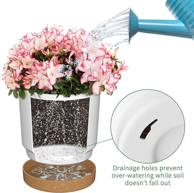 6.5 inch Plant Pots, Plastic Planter with Drainage Hole and Saucer, A Set of 2 Flower Pots for Indoor, Outdoor, House Plants, Succulents, Flowers (White)