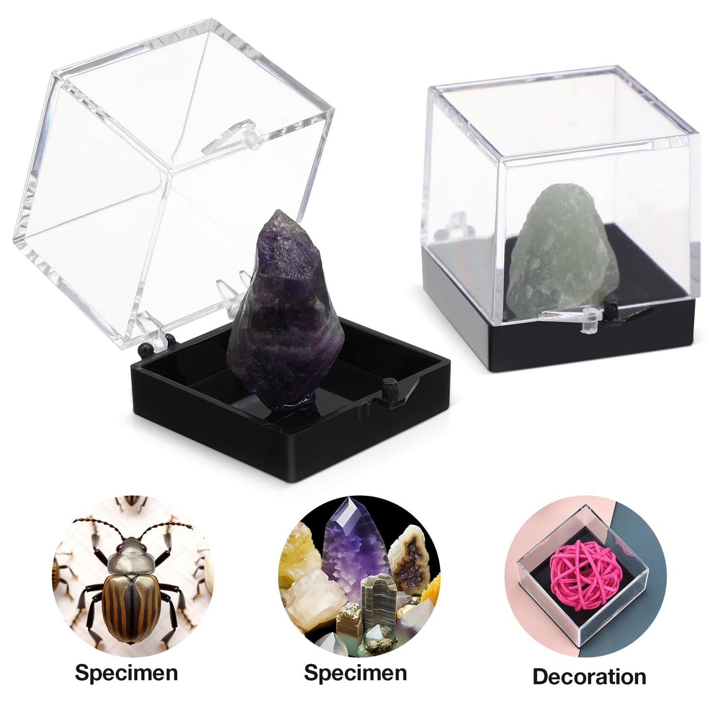 12pcs Mineral Standard Display Box Display Shelves Packing Collectible Pad Organizers Single Cupcake Boxes Asian Mineral Specimen Storage Bulb Containers with Lids Stash Plastic acrylic