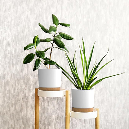6.5 inch Plant Pots, Plastic Planter with Drainage Hole and Saucer, A Set of 2 Flower Pots for Indoor, Outdoor, House Plants, Succulents, Flowers (White)
